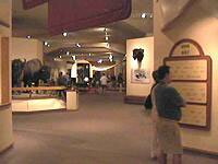 Plains Indian Museum