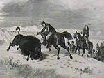 Buffalo hunt
