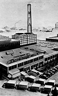 MFA plant