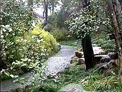 A Suzhou garden
