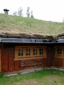 Sod roof building