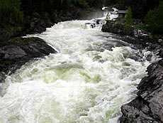 Mountain stream