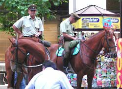 mounted police